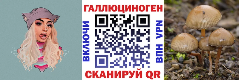 Псилоцибиновые грибы прущие грибы  наркошоп  Углич 