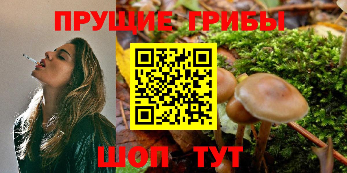 Псилоцибиновые грибы Cubensis Углич