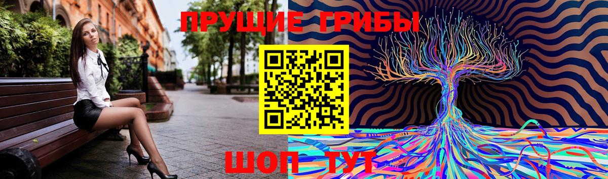 как найти наркотики  Галлюциногенные грибы Cubensis  Вход с VPN  Углич 