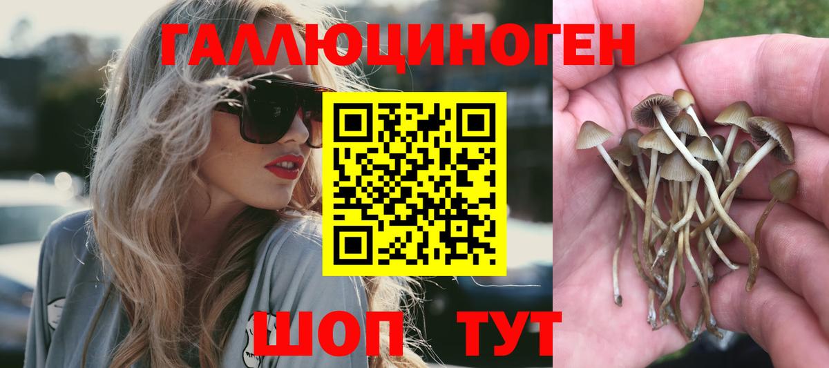 Бошки Шишки Углич